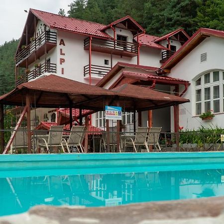 Pensiunea Alpin Păltiniş Eksteriør bilde