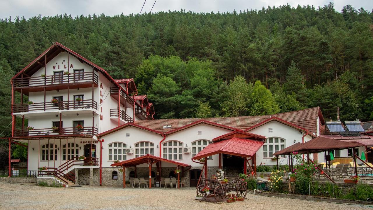 Pensiunea Alpin Păltiniş Eksteriør bilde