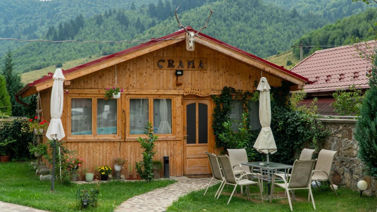 Pensiunea Alpin Păltiniş Eksteriør bilde