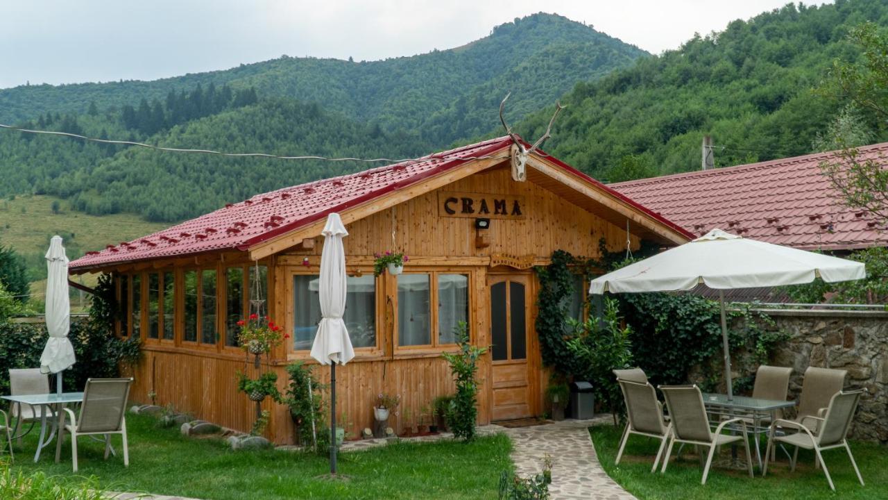 Pensiunea Alpin Păltiniş Eksteriør bilde