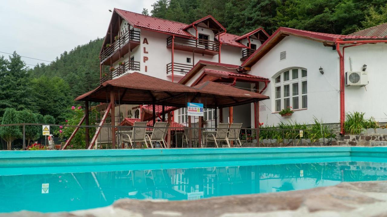 Pensiunea Alpin Păltiniş Eksteriør bilde