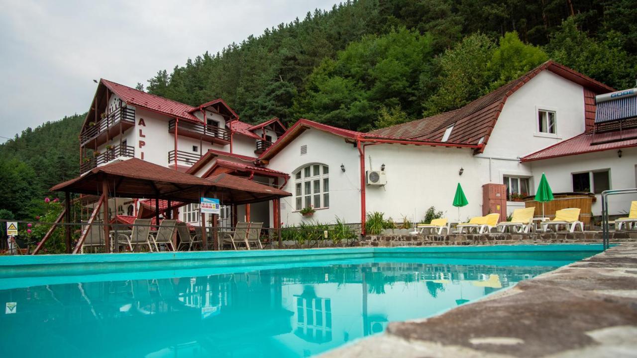 Pensiunea Alpin Păltiniş Eksteriør bilde