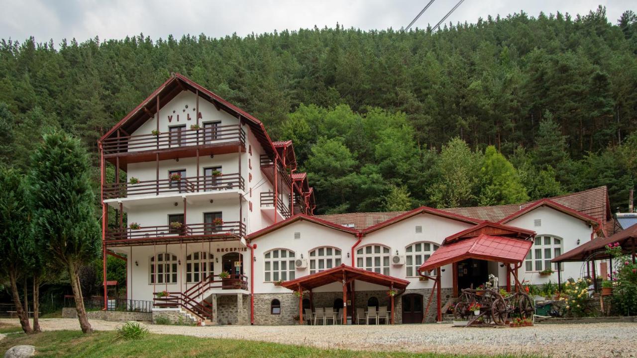 Pensiunea Alpin Păltiniş Eksteriør bilde
